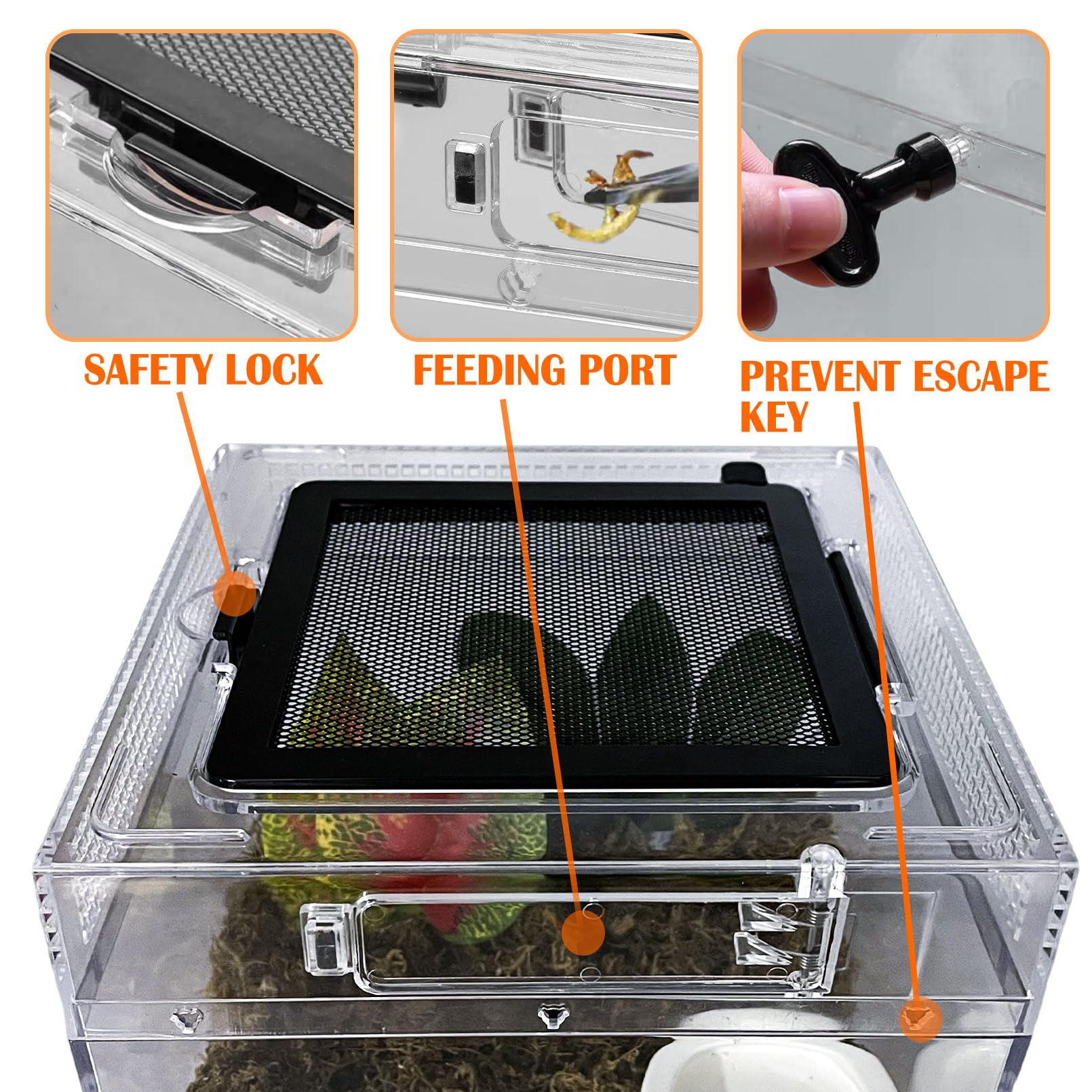 Acsist Reptile Terrarium, Jumping Spider Enclosure Starter Kit, Leopard Gecko Habitat Container, 8''X8''X7''Reptile Tank For Tar